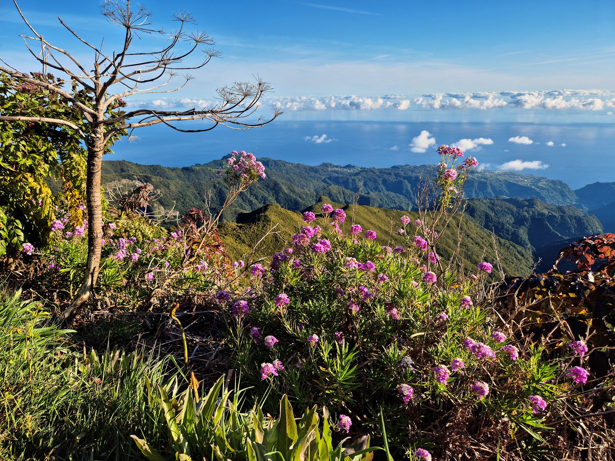Frühmorgentliche Wanderung zum Pico Ruivo